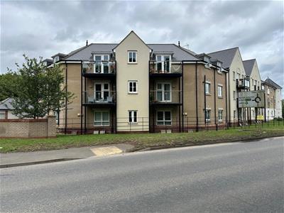 Picture 19